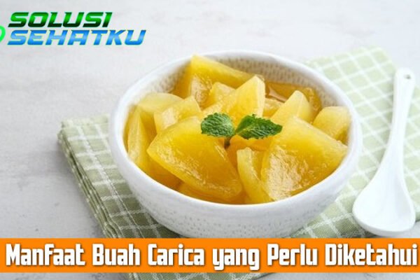 Manfaat Buah Carica yang Perlu Diketahui