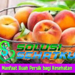 Manfaat Buah Persik bagi Kesehatan