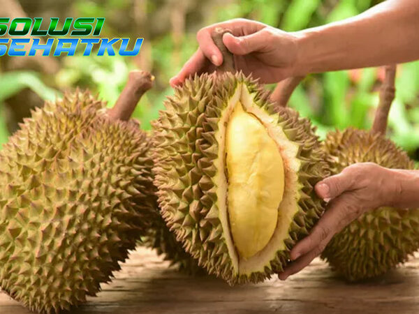 Manfaat Durian bagi Kesehatan Tubuh