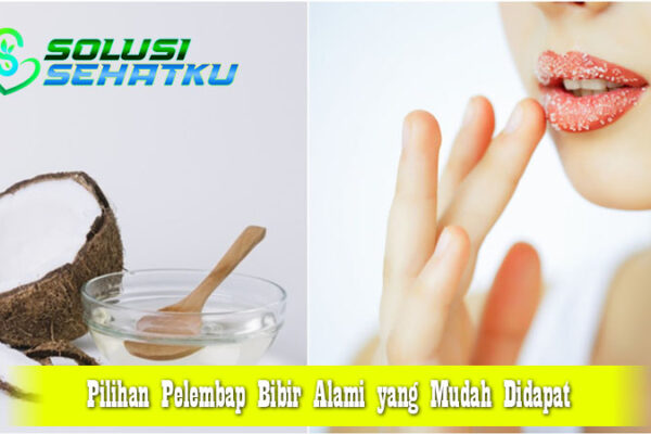 Pilihan Pelembap Bibir Alami yang Mudah Didapat