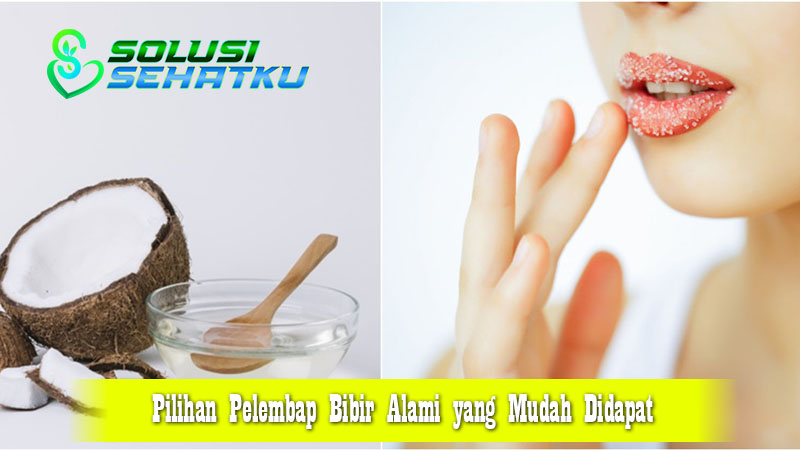 Pilihan Pelembap Bibir Alami yang Mudah Didapat