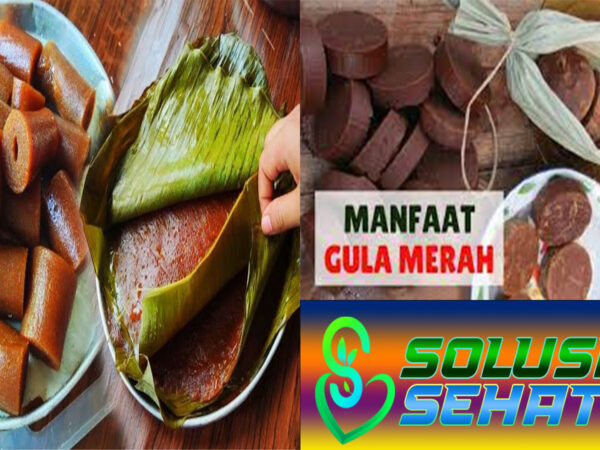 Manfaat Gula Merah untuk Kesehatan dan Faktanya