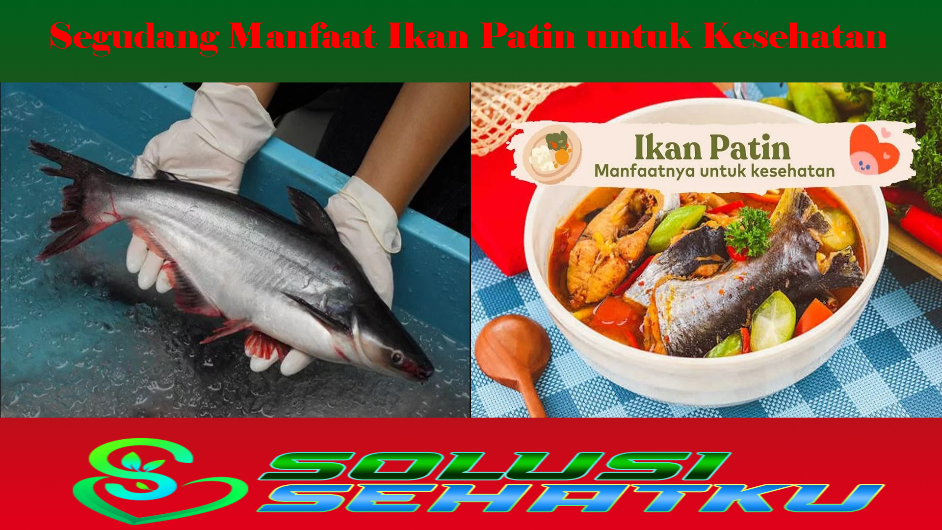 Segudang Manfaat Ikan Patin untuk Kesehatan