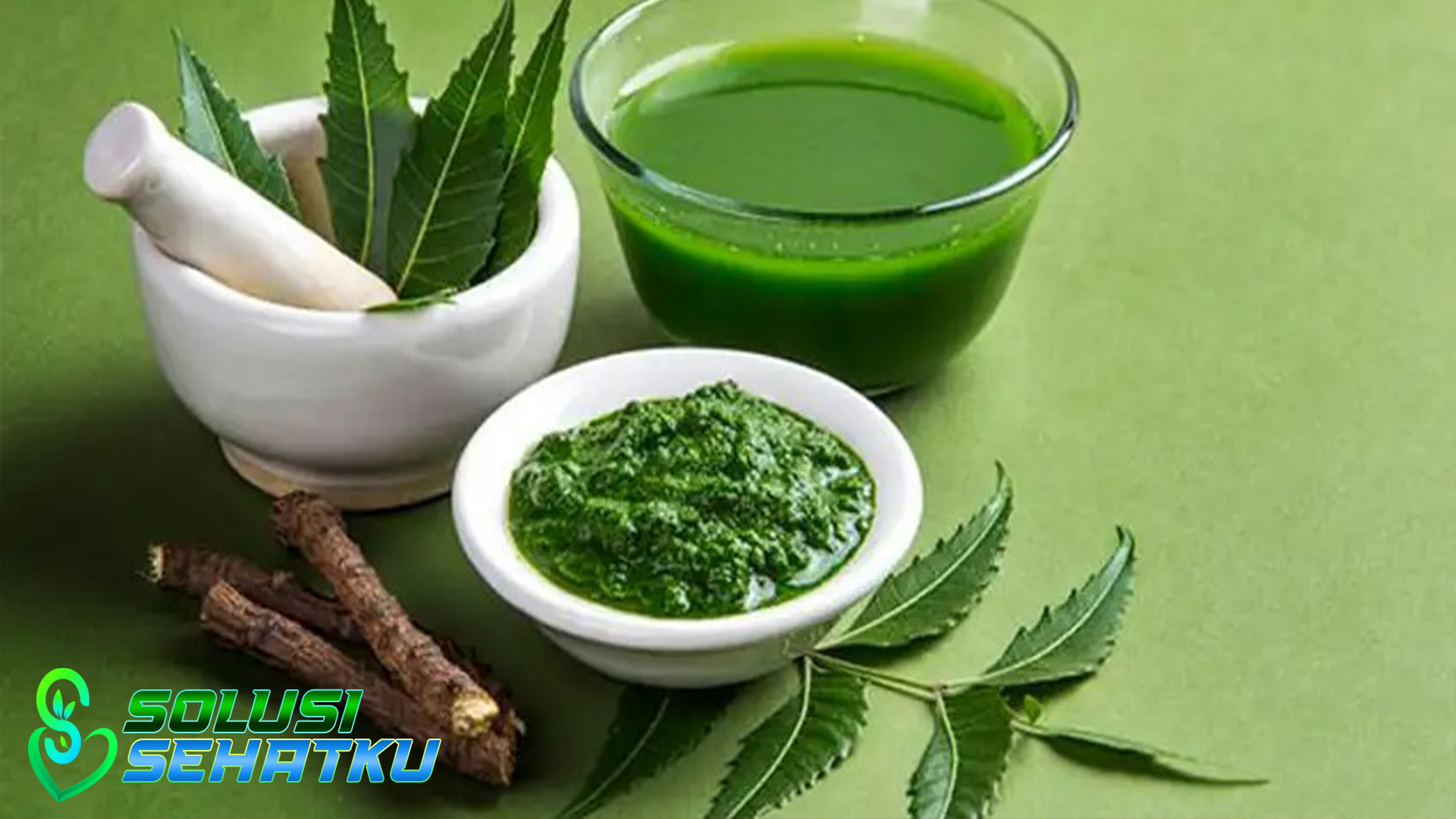 Manfaatnya untuk Kulit dan Rambut dari Daun Neem