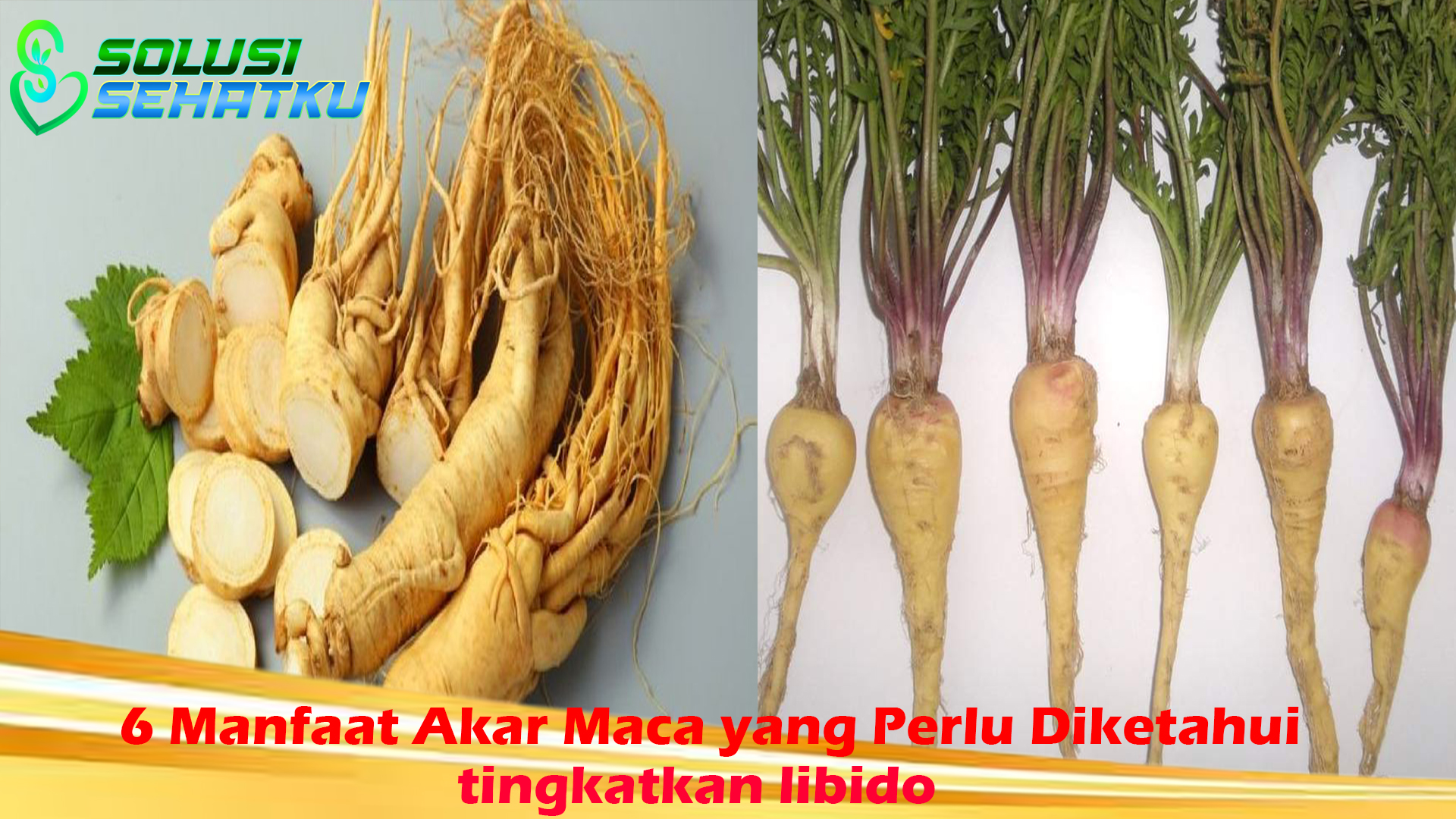 6 Manfaat Akar Maca yang Perlu Diketahui,tingkatkan libido