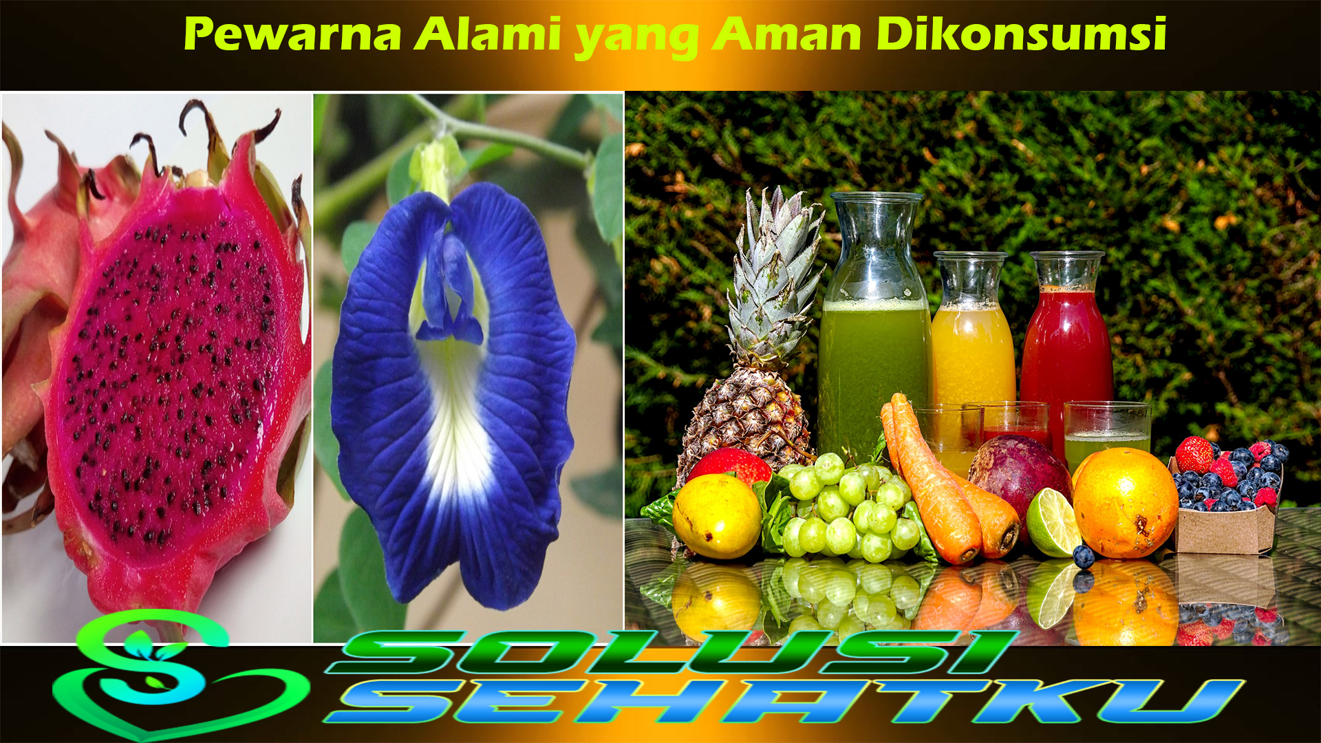 Pewarna Alami yang Aman Dikonsumsi