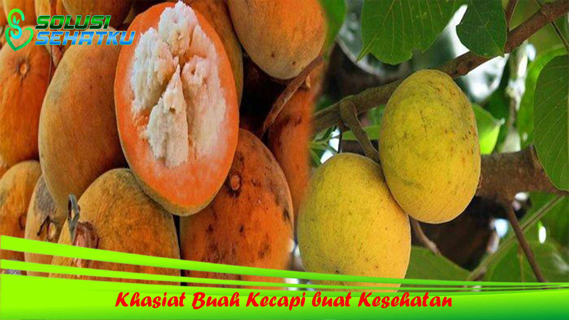 Khasiat Buah Kecapi buat Kesehatan yang Tidak sering Dikenal