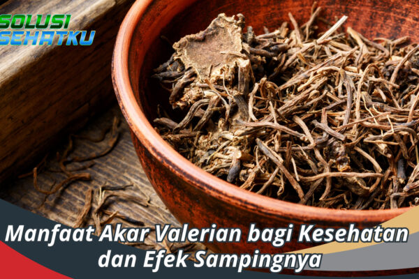 Manfaat Akar Valerian Beserta Efek Sampingnya