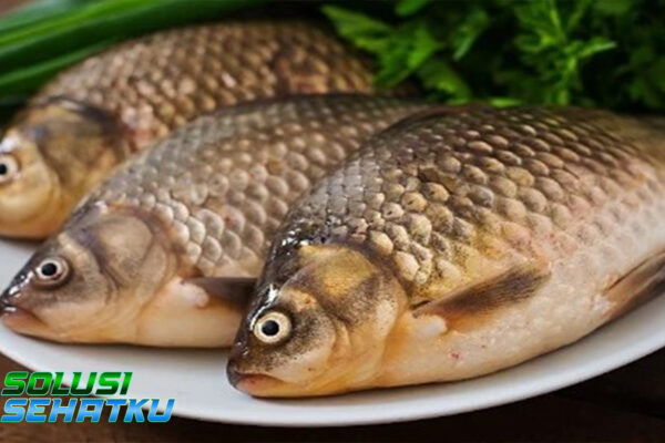 Manfaat Ikan Gurame dan Kandungan Nutrisinya