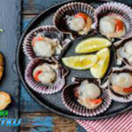 Cara Memasak dan Menikmati Scallop