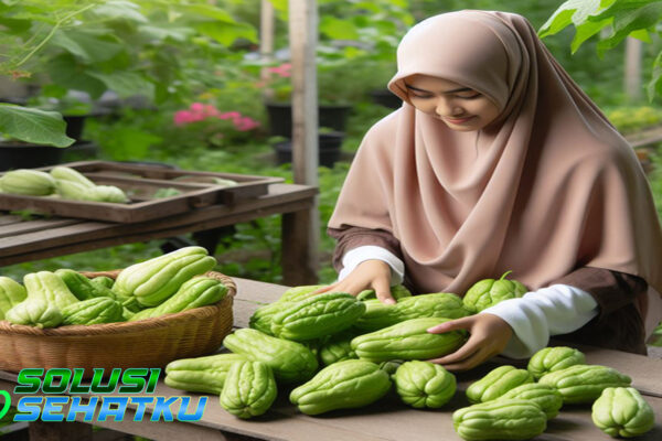 Fungsi Labu Siam: Kesehatan dan Penggunaan Dalam Masakan