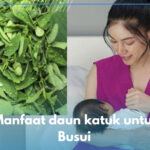 Konsumsi Daun Katuk untuk Meningkatkan Produksi ASI