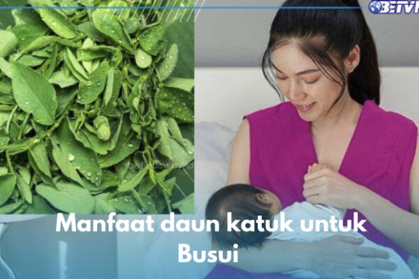 Konsumsi Daun Katuk untuk Meningkatkan Produksi ASI Konsumsi Daun Katuk untuk Meningkatkan Produksi ASI