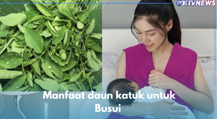 Konsumsi Daun Katuk untuk Meningkatkan Produksi ASI