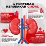 7 Penyebab Terjadinya Kerusakan Ginjal, Apa Saja?
