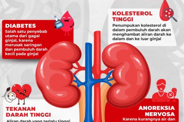 7 Penyebab Terjadinya Kerusakan Ginjal, Apa Saja? 7 Penyebab Terjadinya Kerusakan Ginjal, Apa Saja?