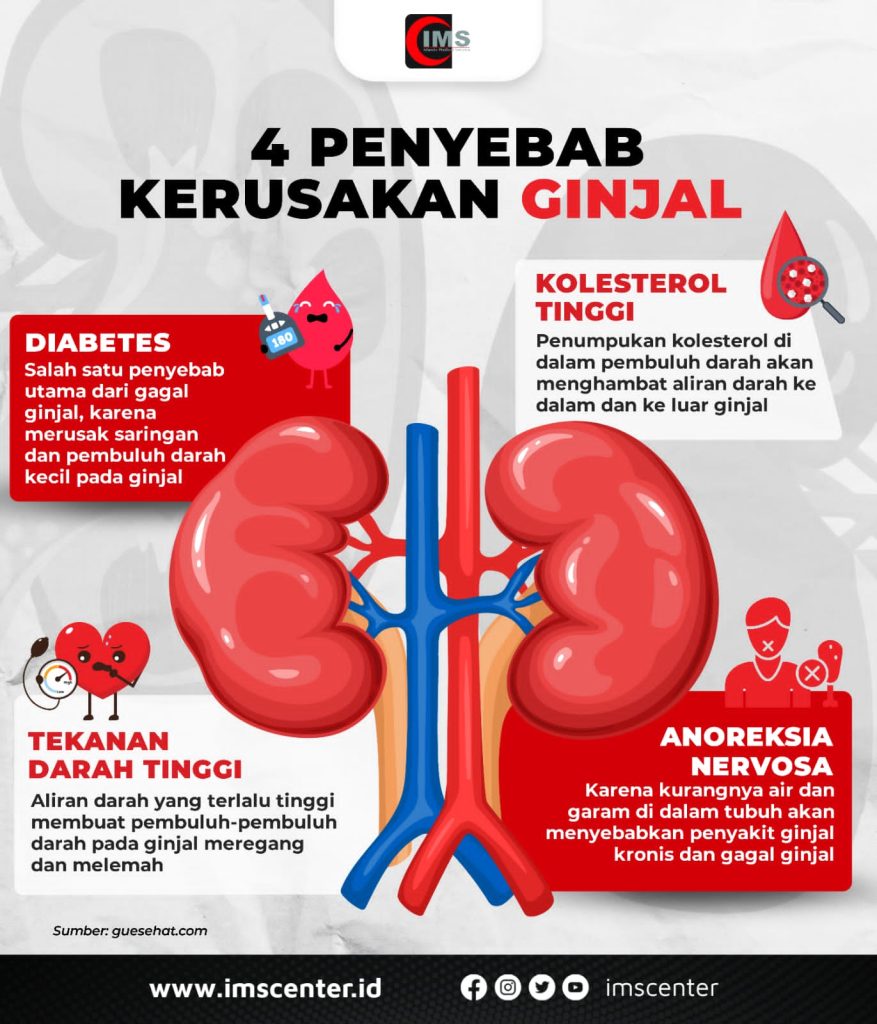 7 Penyebab Terjadinya Kerusakan Ginjal, Apa Saja?