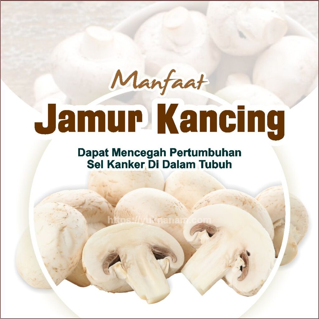 Kandungan Jamur Kancing bagi Tubuh