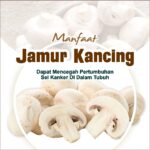 Kandungan Jamur Kancing bagi Tubuh