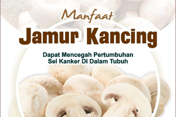 Kandungan Jamur Kancing bagi Tubuh Kandungan Jamur Kancing bagi Tubuh
